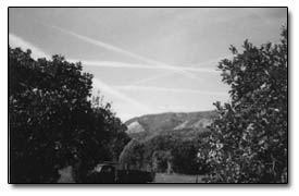 Contrails criss-cross the sky in this photo taken by Vi McCoy outside her home earlier this fall.