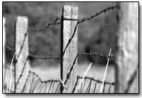 On the fence: A barbed wire fence marks the boundary of the James Ranch along Highway 550 north of Durango./Photo by Dustin Bradford