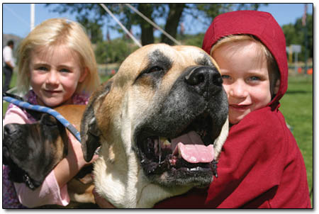 Charlie, an English mastiff, gets a hug from 5-year-old Brigs, front, as 7-year-old Michaela and Cedar look on.