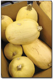 A box of recently donated squash sits on a table ready to be distributed.