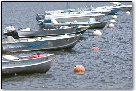 
  A line of boats float tethered to buoys adjacent to the Angler's Wharf on the west side of the lake.
