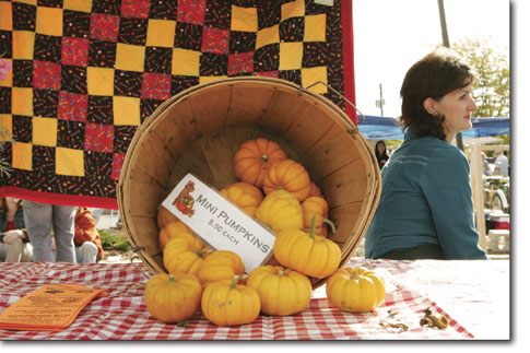 A basket full of miniature pumpkins decorates Brenda Isgar's booth Saturday morning at the Durango Farmers Market.