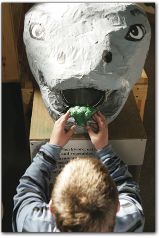 Alex Oliver Amato, 7, feeds a herbivore a little broccoli during his day away from Needham Elementary.