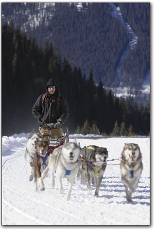 A musher cruises up the valley north of Silverton early
Sunday.
