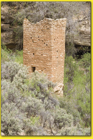 Square Tower rises from the floor of Little Ruin Canyon in
Hovenweep National Monument.