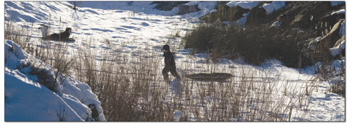 A boy drags his sled through the thicket at a popular sleeding
destination in Wildcat Canyon.