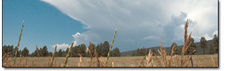 Thunderheads roll in just south of Vallecito Reservoir last
week.