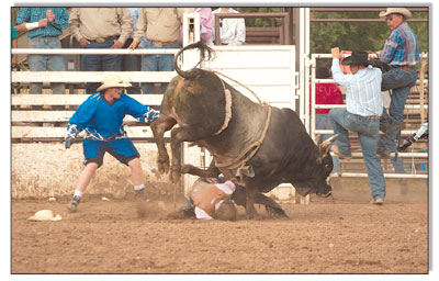What one man may call unwise, another may call a thrill. Either
way, bull riding can definitely be painful.