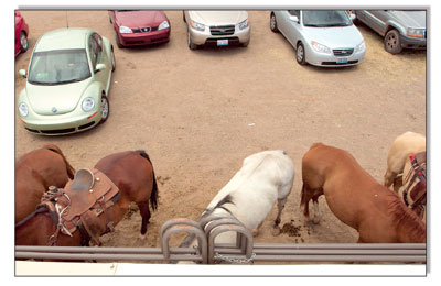 Old horsepower meets new horsepower in the parking lot of this
years Fiesta Days Rodeo.