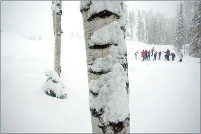 Snow clings to an aspen along the 16 kilometer course while a
group of young skiers stops to take in some pointers.