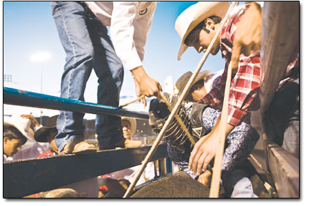 Justin Orr, of Belen, N.M., gets ready to ride with a little
help from his friends. Proper placement of the bull rope is
essential; it is the only peice of equipment holding the rider to
the bull.