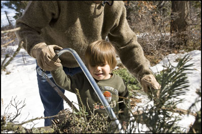 Patrick McBrayer, 4, learns to trim the base of the tree with
assistance from his father, Justin.