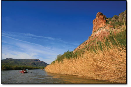 A stretch of calm water gives way to beautiful vistas of Sonoran
Desert