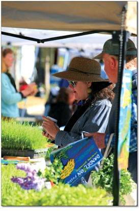 A curious market-goer samples the wheatgrass grown by the fine
folks at Turtle Lake Refuge.