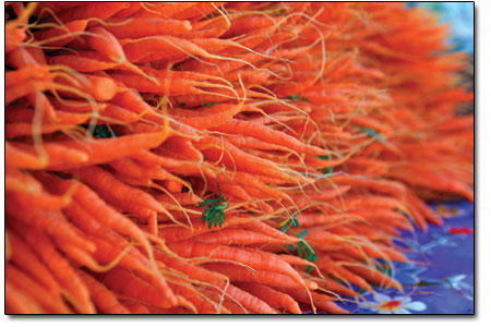 RAS Farms won the table with the most carrots award. The produce
was sweet and good for the eyes!