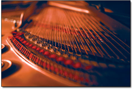 The inner workings of the grand piano played by David
Korevaar.