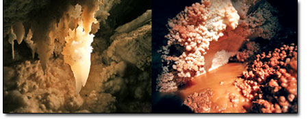 Aragonite, left, and gypsum, right, are some of the more common
minerals found in caves.