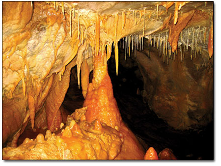 Caves are in a perpetual state of growth. The room seen here is
literally alive with marmalade flowstone and stalactites.
