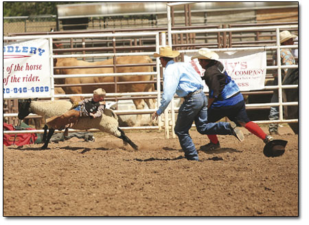 A future rodeo superstar hangs on until the bitter end.