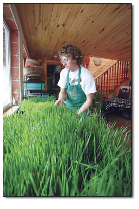 Justin West prepares to harvest wheatgrass at the Turtle Lake
Refuge.