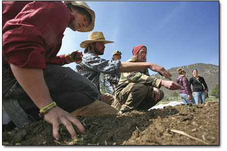 Students Kryn Dykema, left, and James Plate, right, examine
freshly tilled soil with a little help from Petrie.