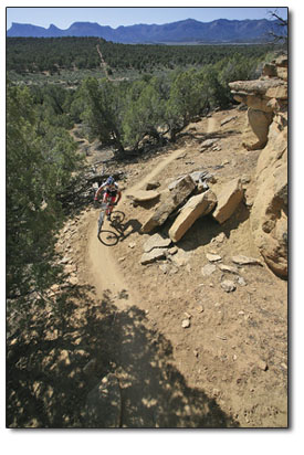 Heres to hot, buffy singletrack in Mesa Verde country.