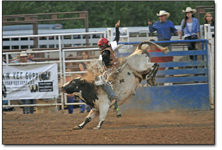 An all-time crowd pleaser, bull riding is sports spectating at
its finest, as demonstrated by Cody Snow, of Pagosa Springs.