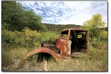 A rusty skeleton of a 1920s model pickup also finds its final resting place in a field near Hay Gulch.
